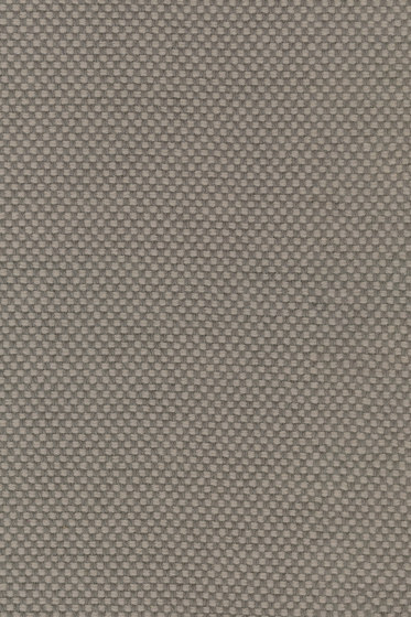 Sisu - 0125