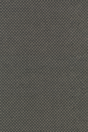 Sisu - 0175