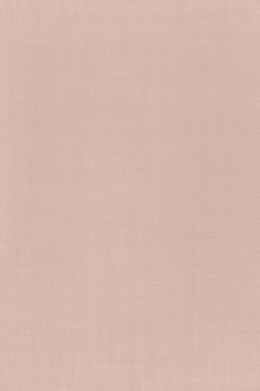 Site - 0005