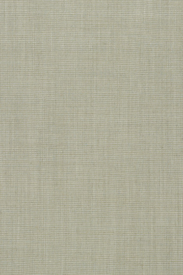 Spice - 0006
