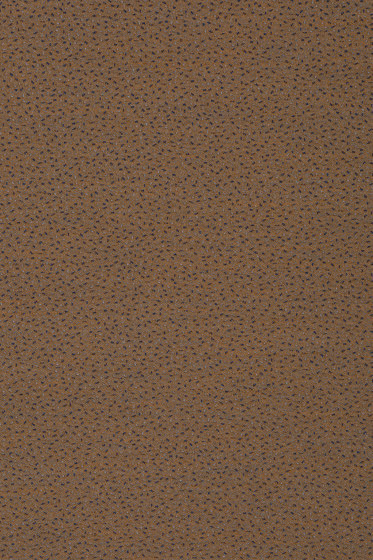 Sprinkles - 0274