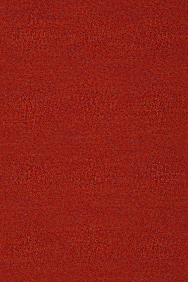 Sprinkles - 0584