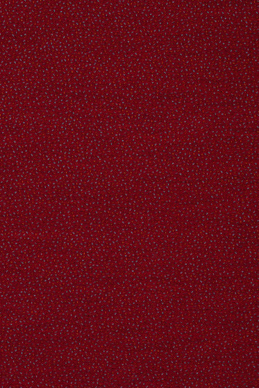 Sprinkles - 0684