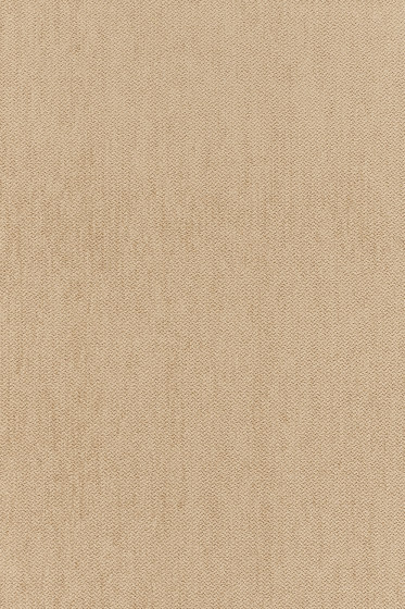 Still - 0231