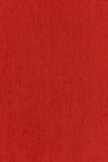 Still - 0571