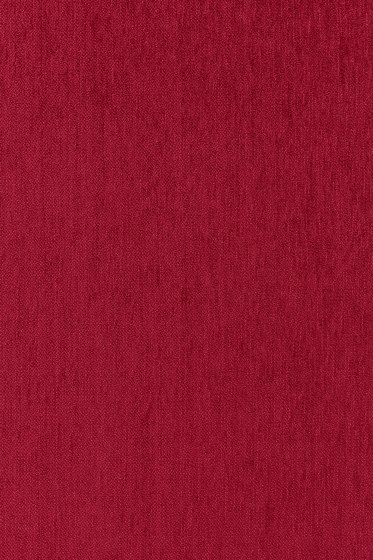 Still - 0671