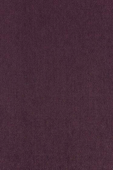 Still - 0681