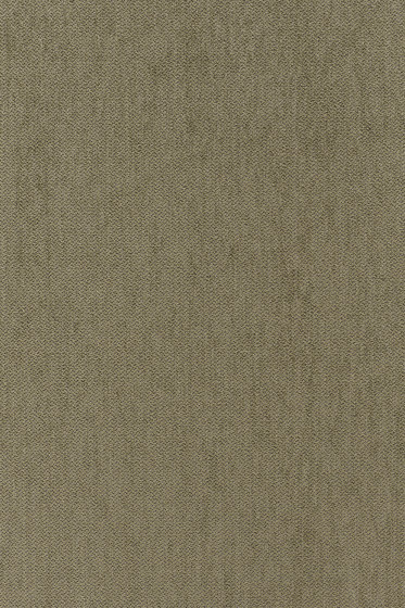 Still - 0961