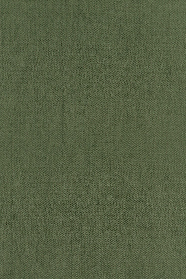 Still - 0981