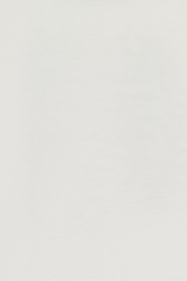 Torsion - 0002