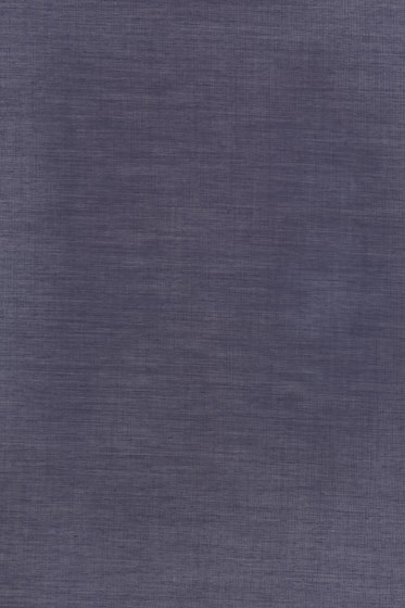 Torsion - 0011