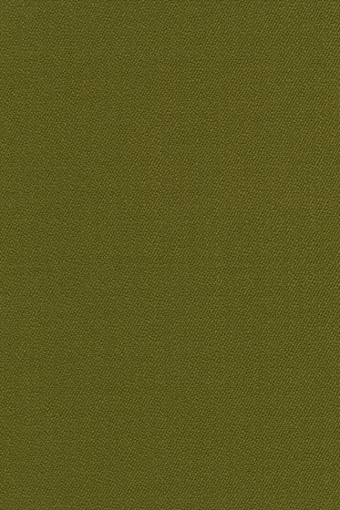 Vidar 4 - 0956