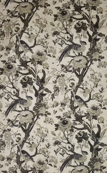 Silkbird col. 002