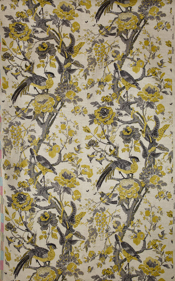 Silkbird col. 003