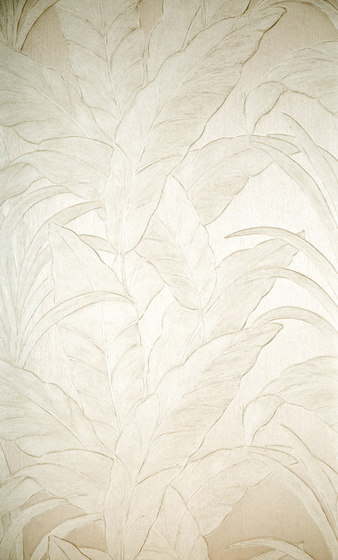 Monsoon Musa - 75005