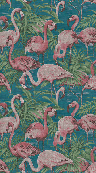 Curiosa Flamingo - 31541