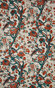 Silkbird col. 003