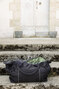 Everyday | SA 100 48 01