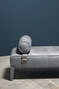 FREUD Bench