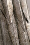 Leaf | Small Leaf I Wall Light - Left - TWL91SA-CSV
