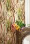Calathea