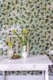 Hedera