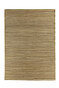 Ray TA 107 29 05