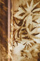 Salonga Wallpaper 407 - WP0004.407