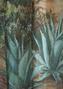 L'esterel (Stoffen)