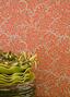 Fleurs de corail