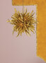 Urchin | Urchin Chandelier - MCL61-BUS