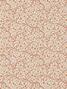 Fleurs de corail