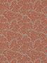 Fleurs de corail
