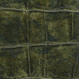 Anguille Big Croco Legend | VP 426 09