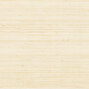 Coiba RM 110 03