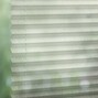 Feathers 8078