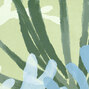 Flower Power | Algues | TP 303 04