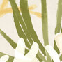Flower Power | Algues | TP 303 06