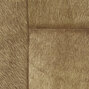 Indomptée | Appaloosa VP |  618 09