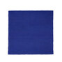 Kelim Without Fringes - 0011