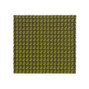 Lattice - 0920