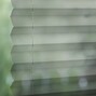 Luna Sheer 1422
