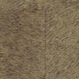 Natives | Movida HPC CV 101 10