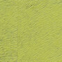 Natives | Movida HPC CV 101 19