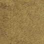 Natives | Movida HPC CV 101 30