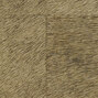Natives | Movida HPC CV 101 32
