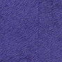 Natives | Movida HPC CV 101 38