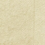 Natives | Movida HPC CV 101 42