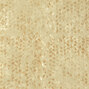 Natural Mood | Laca salvaje | VP 916 06