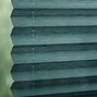 Olivite Sheer StainStop 6130